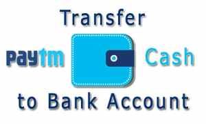 Transfer Paytm Wallet Balance at 0% Charge