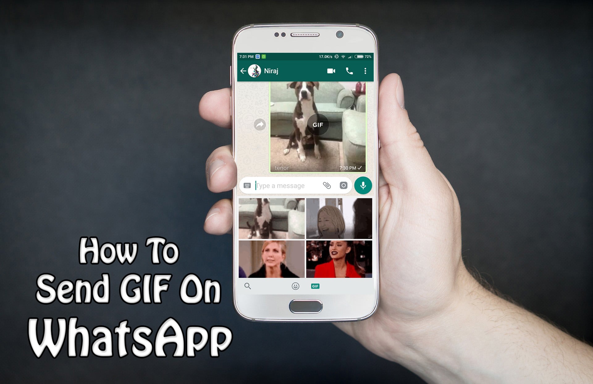 How To Send GIF On WhatsApp