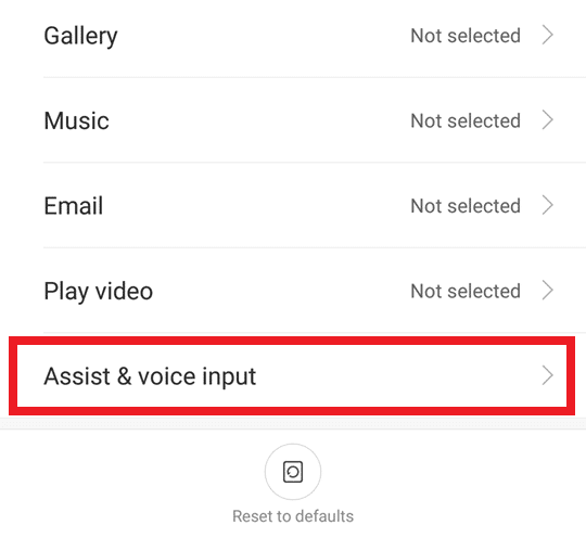 Assist & Voice Input