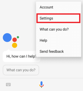 Google Assistant Settings