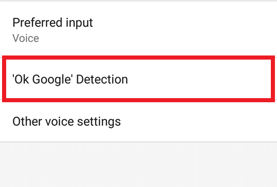 OK Google Detection