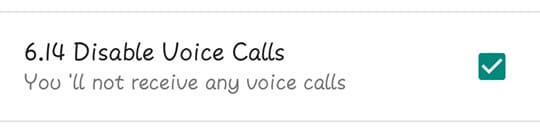 Disable Voice Calls