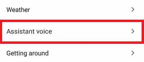 Google Assistant Voice